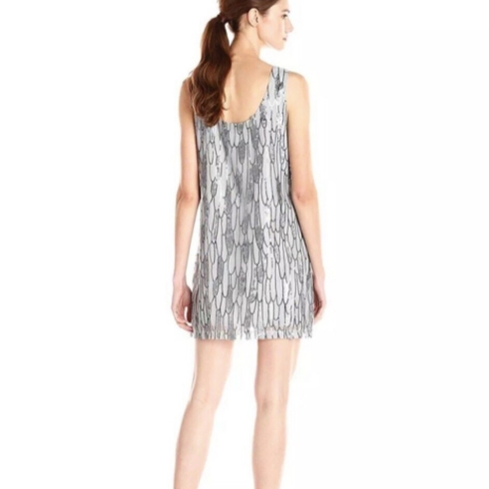 BB Dakota Roselynn Silver Raindrops Tank Dress